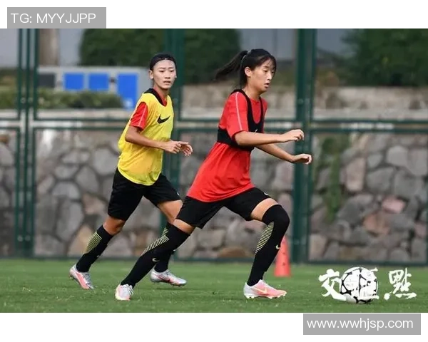 南京羽毛球队在城市联赛中的速度表现分析与点评