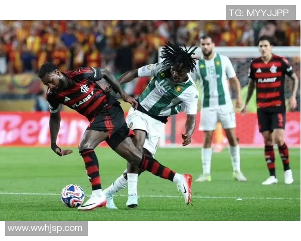 突尼斯足球传奇人物的辉煌历史与影响力探讨